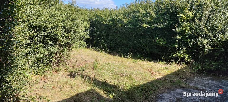 Na sprzedaż domek z działką w Rajkowie koło Rajkowo