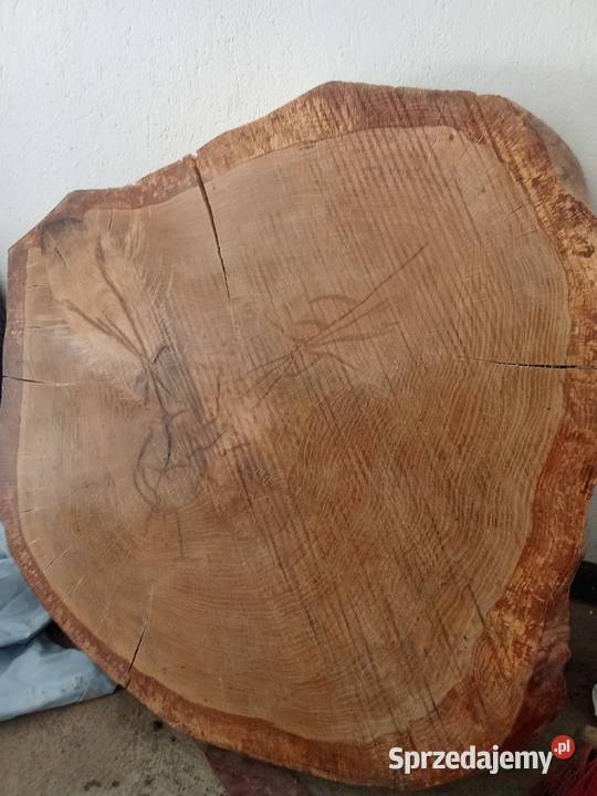 Plastry drewna na stoliki kawowe