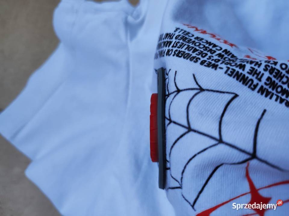 koszulka tshirt z pająkiem świecąca your brand świętokrzyskie Kielce sprzedam