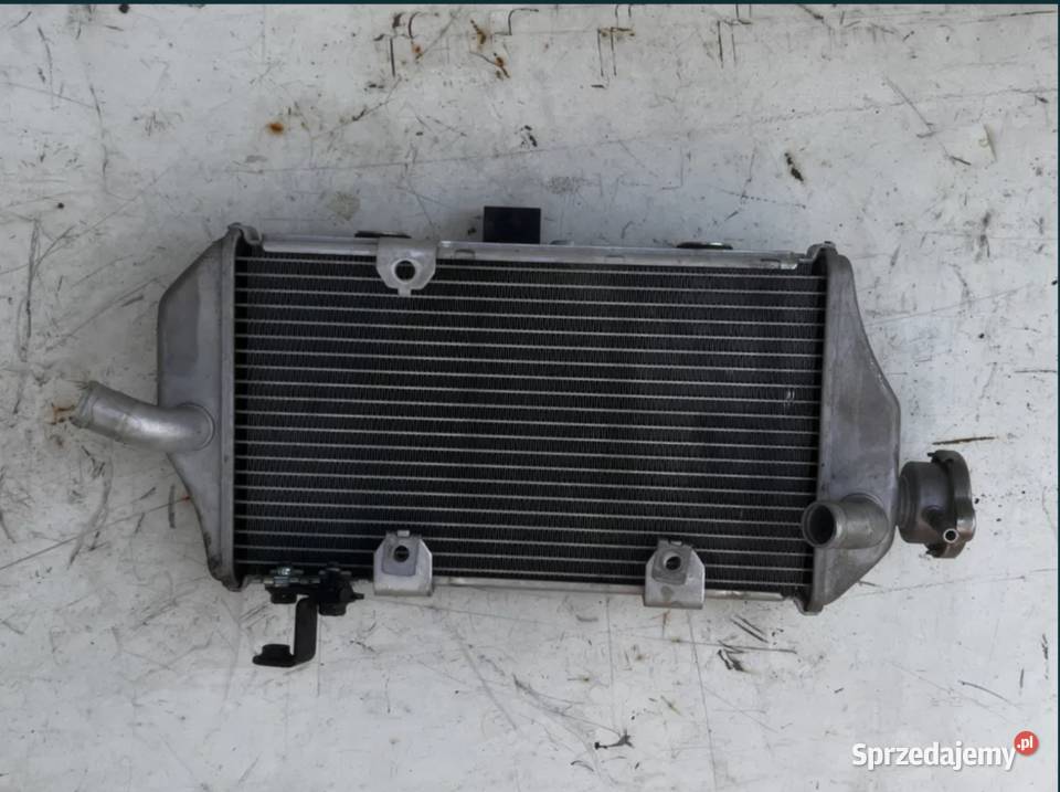 Chłodnica Honda CRF 300 Rally wielkopolskie Ostrów Wielkopolski