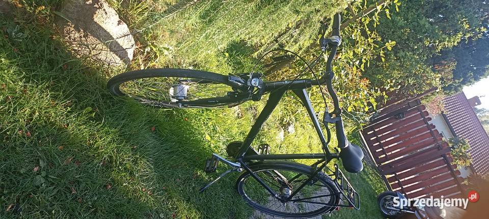 Rower PEGASUS TORINO