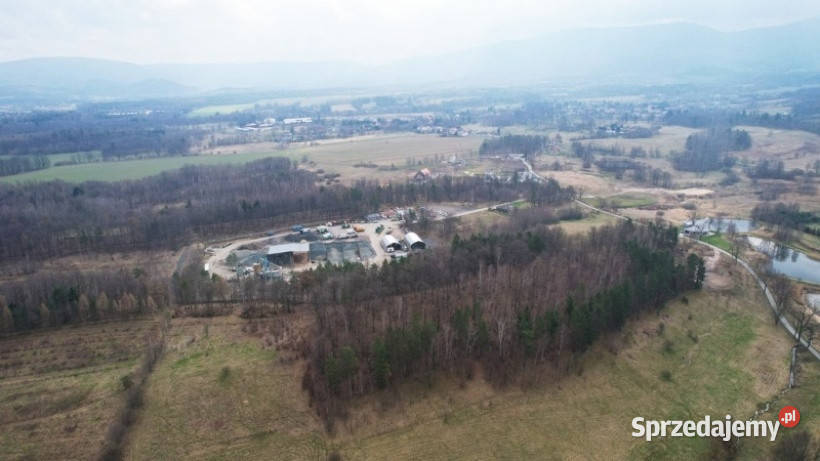 sprzedam dużą działkę rolną w Głębock