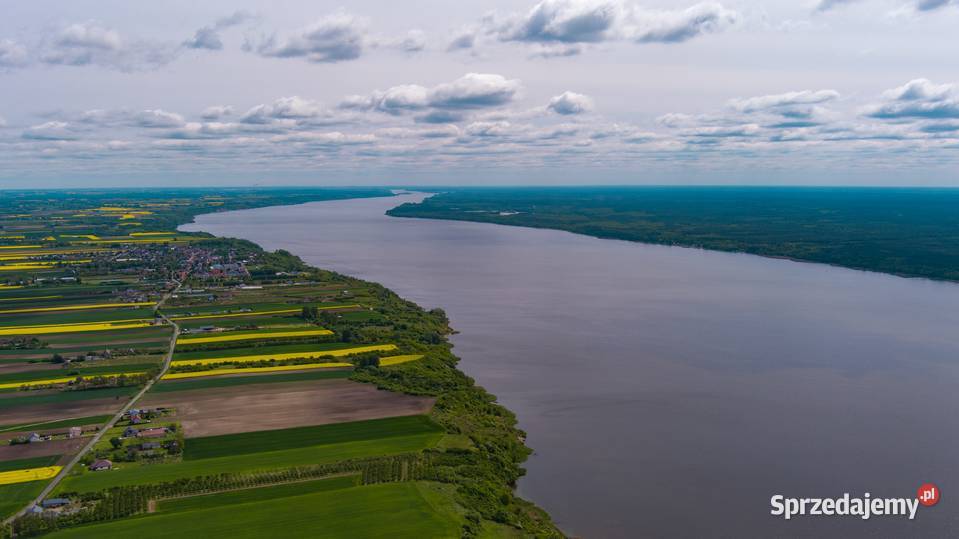 Sprzedam siedlisko z domem z pięknym widokiem na żywopłot Sprzedaż Bachorzewo