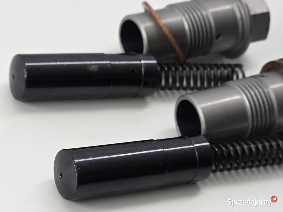 Napinacz Rozrzadu Napinacz Lancucha Bmw Gs 1200 Janowice