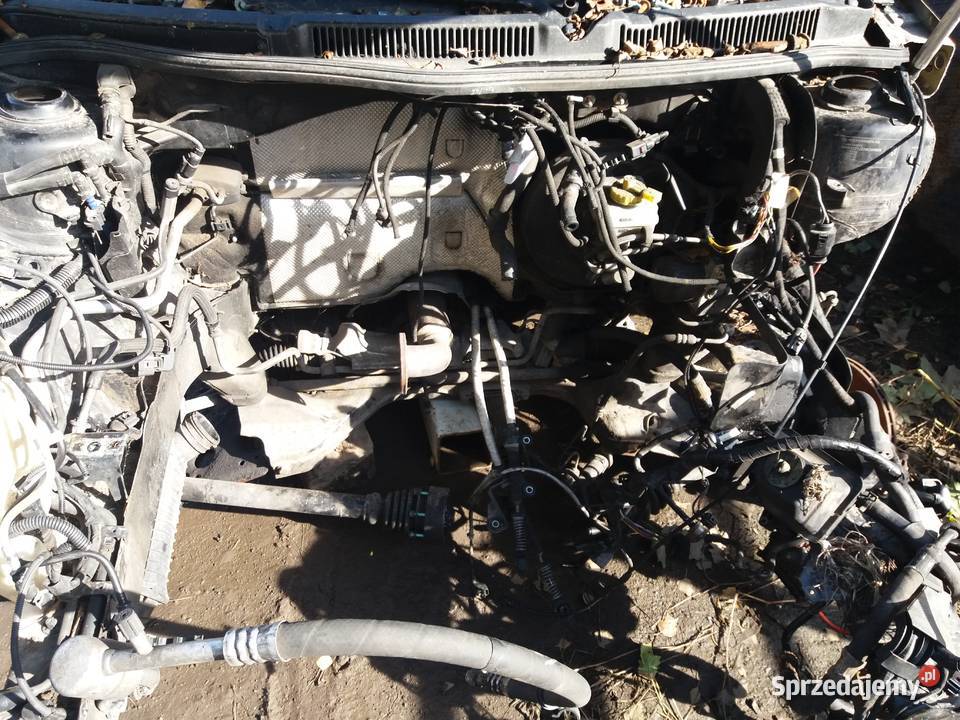 Vw Golf IV części Pozostałe Łagów