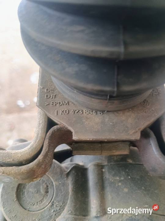 Maglownica Audi A3 8P 19 TDI Radymno