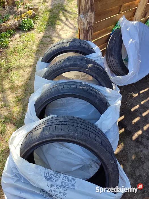 Opony zimowe 2353519 235 Opony świętokrzyskie Bogoria
