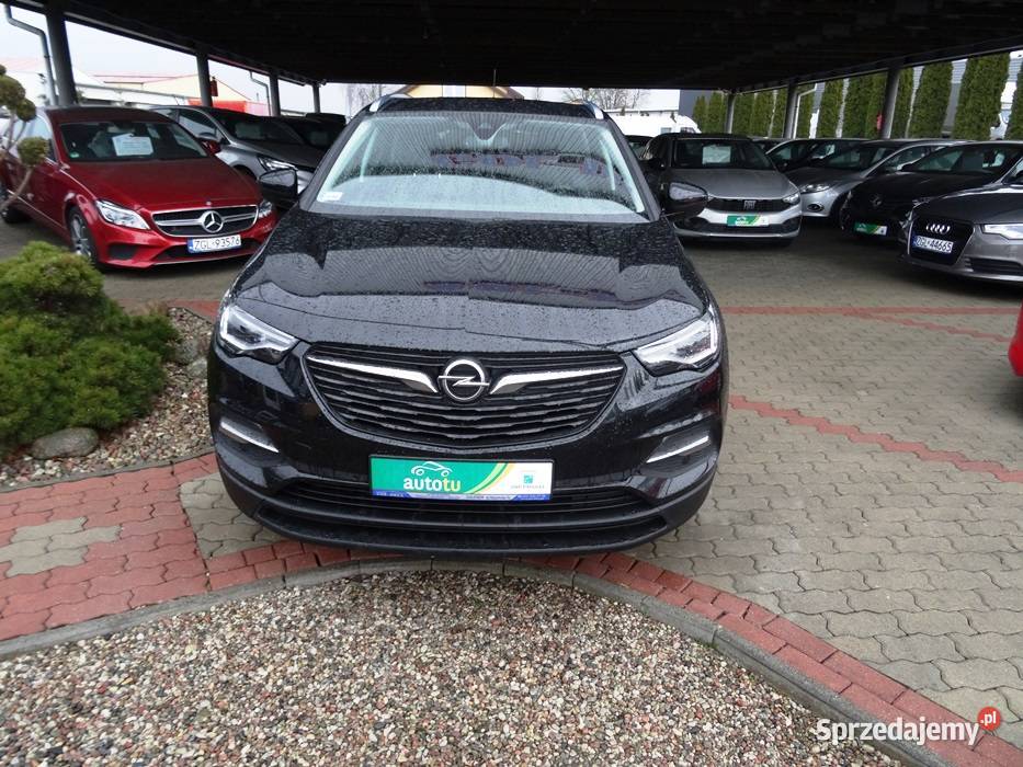OPEL GRANDLAND X Rok produkcji 2020 Goleniów sprzedam