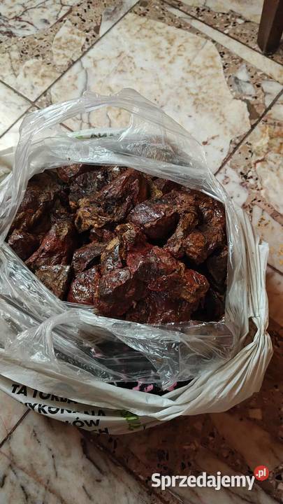 Kit pszczeli lokalnego pszczelarza Przeworsk sprzedam