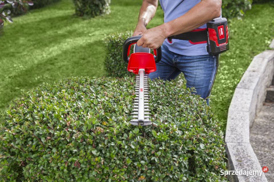 Nożyce do żywopłotu ALKO HT 4055 Li Energy Flex Tajęcina