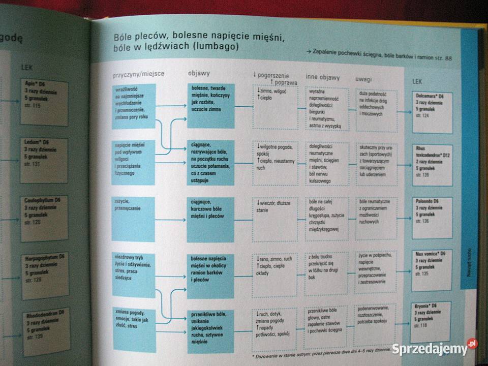 Homeopatia Markus Wiesenauer książka polska