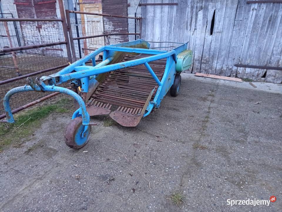 Kopaczka elewatorowa do ziemniaków Szynkielów