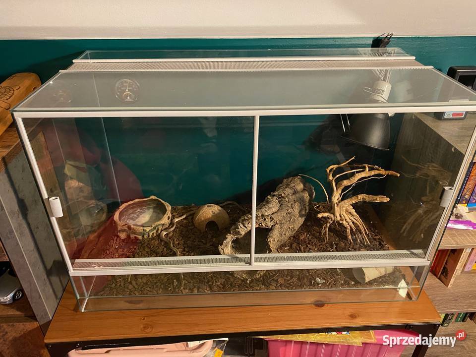 Terrarium z wyposażeniem lubelskie