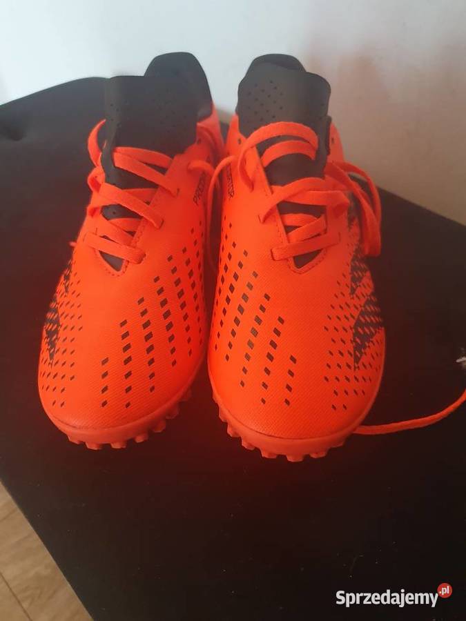 Sprzedam turfy turfy chłopiec Gorzów Wielkopolski