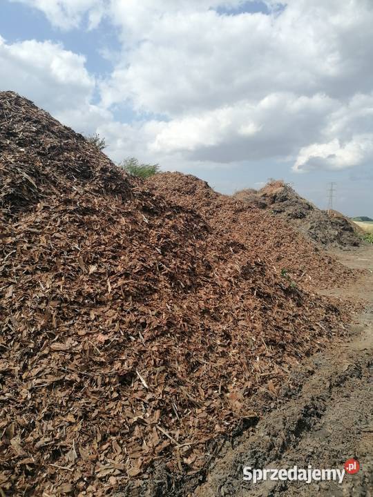 Kora sosnowa luz ilość i hurtowe cała polska Kora Poznań