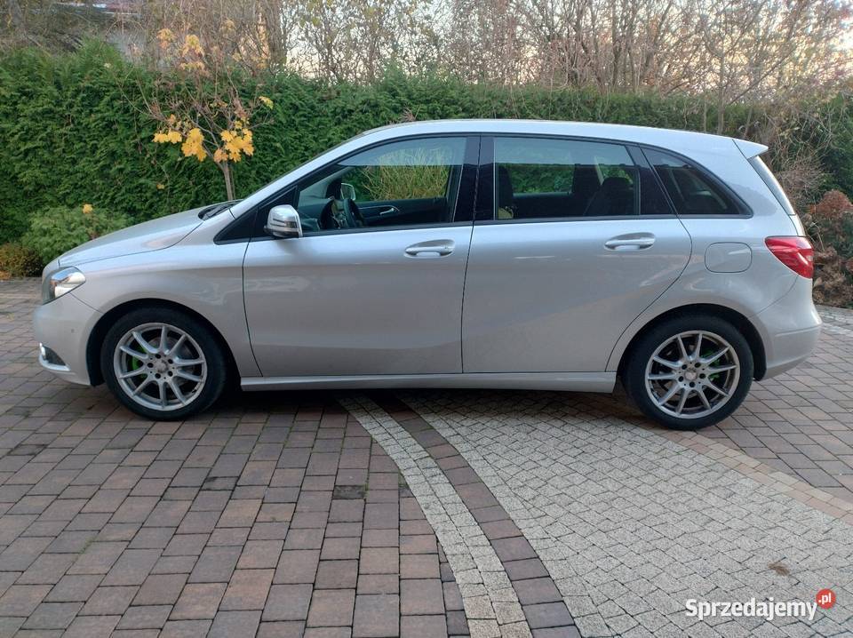 właścicielki 6 biegów ekonomiczny