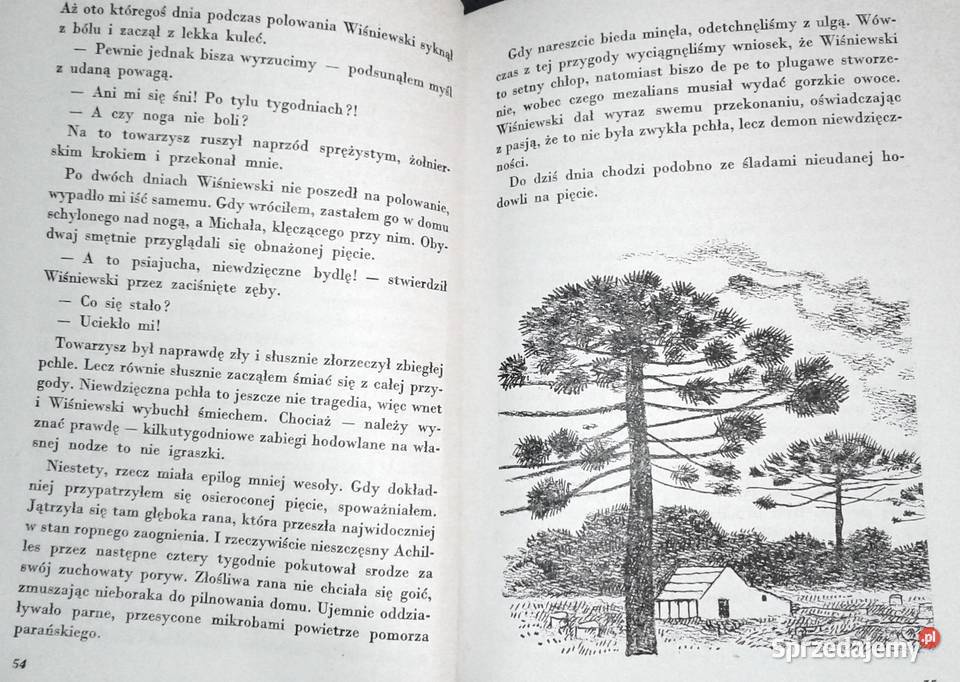 Zwierzęta z lasu dziewiczego Arkady Fiedler Rok wydania 1969 Chełm