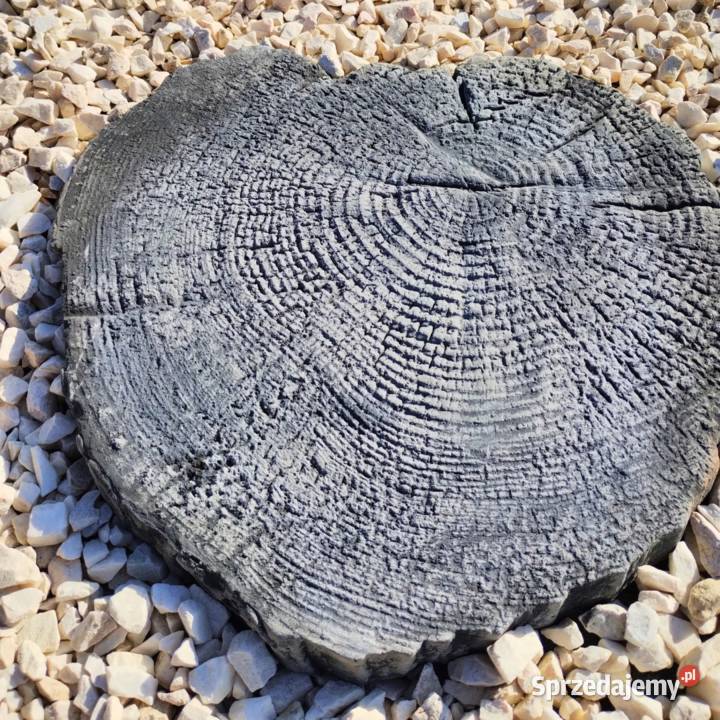 Płyta ogrodowa Pniaczek efekt drewna trwałość Żelichów