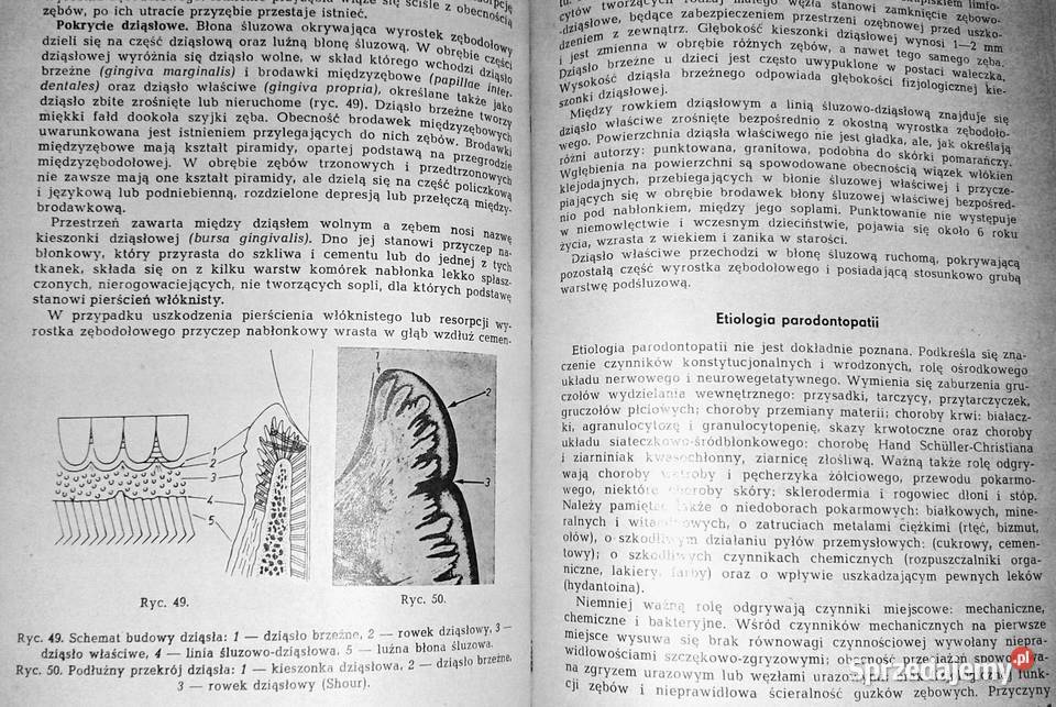 Vademecum Lekarza Stomatologa Halina Smosarska Rok wydania 1979 Chełm
