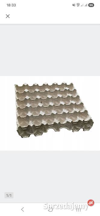 wytłoczki jajkach mazowieckie