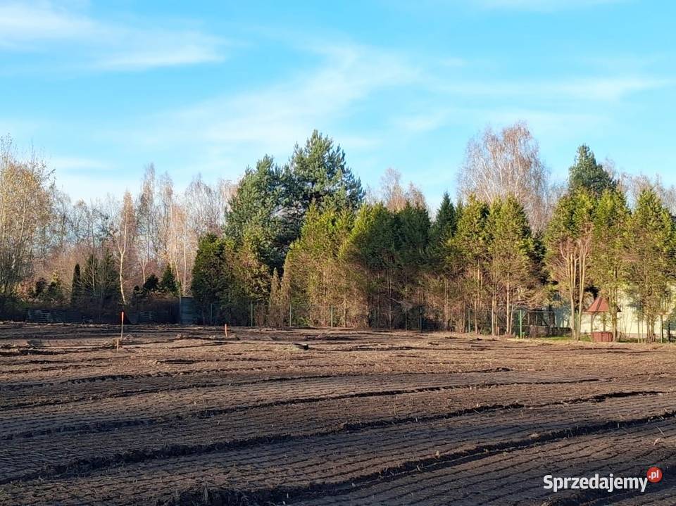 Super działki Żory Zachód Kradziejówka 607m2
