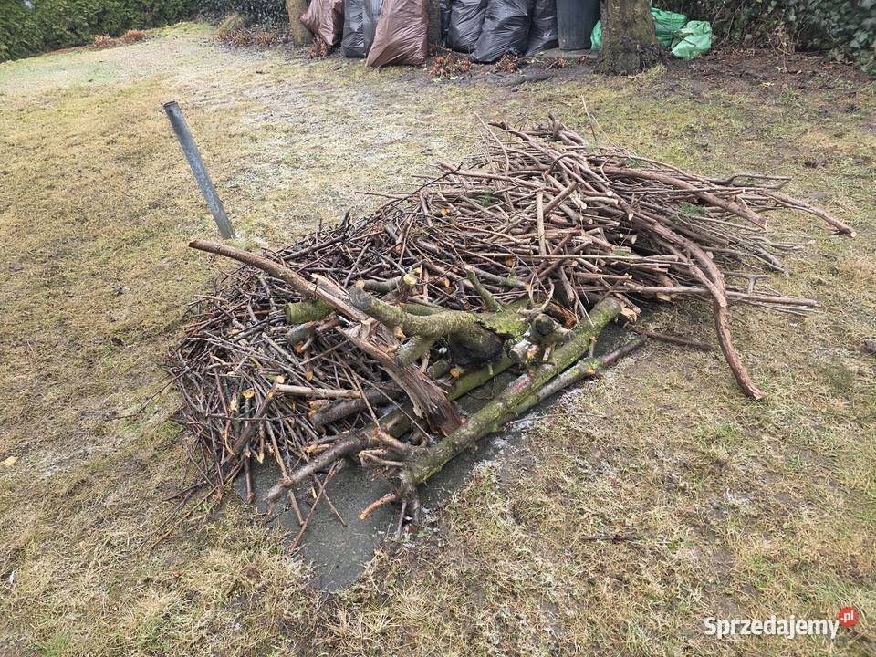 Drewno z czereśni Trzebnica