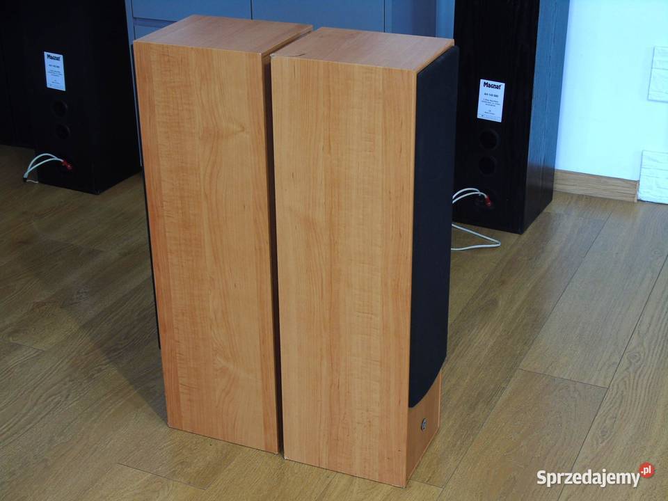 Kolumny Cat 2 x 380 wat ładne DOSTAWA Jasło sprzedam