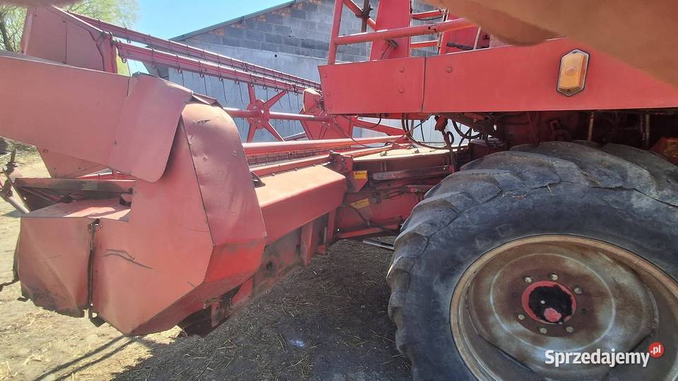 Kombajn Massey Ferguson MF 805 wielkopolskie Dąbie