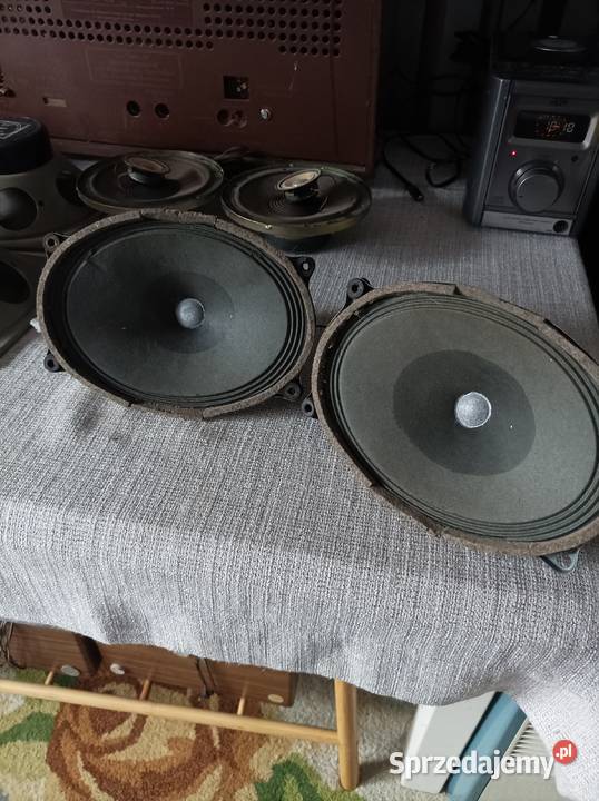 Isophon głośniki szerokopasmowe alnico Płock