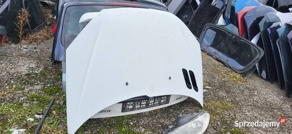 Peugeot 206 przed FL Zderzak Maska Pas przód z małopolskie Żabno