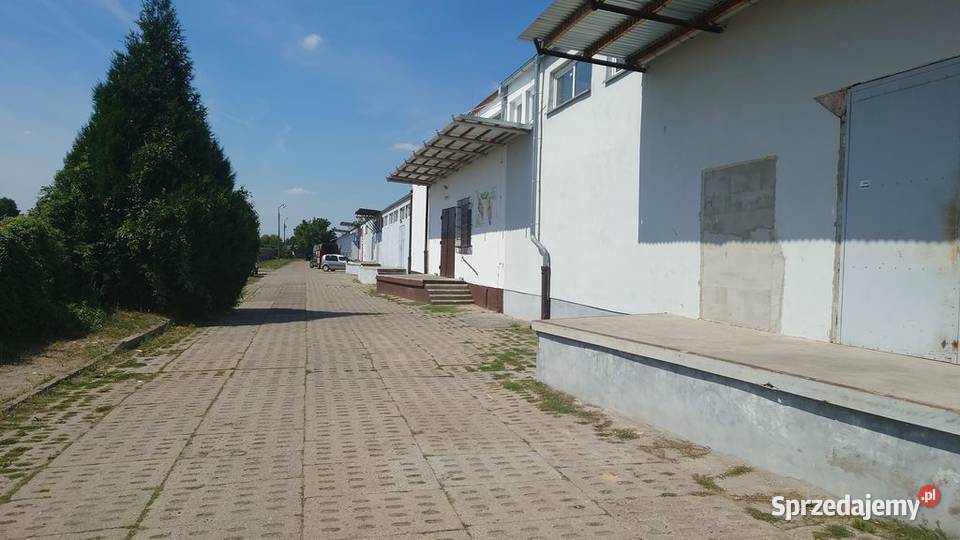 Sprzedam halę magazynową w Międzyrzeczu Sprzedaż lubuskie Międzyrzecz