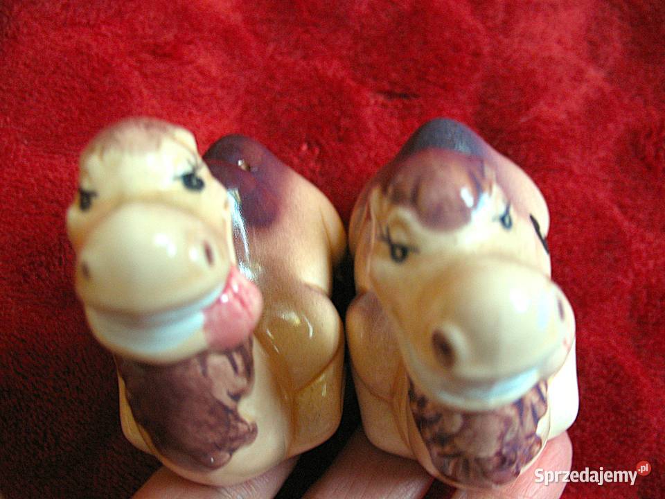 Sól i pieprz wielbłądy 6 x 8 x 4 Solniczka i mazowieckie