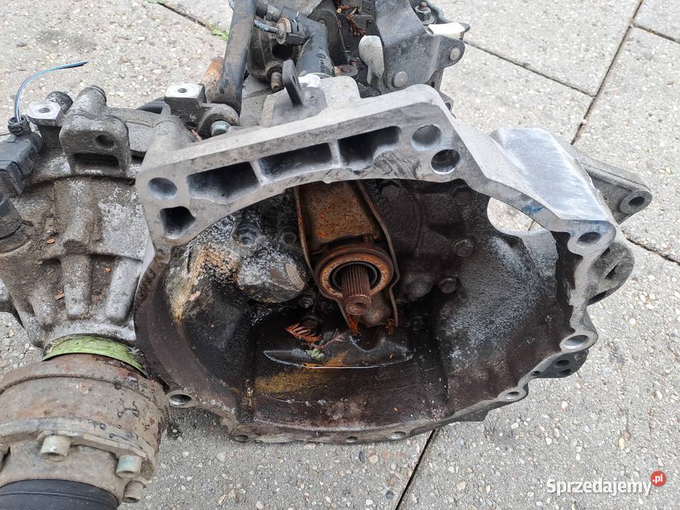 Audi Seat Skoda Volkswagen 19 TDi skrzynia Skrzynie biegów manualne
