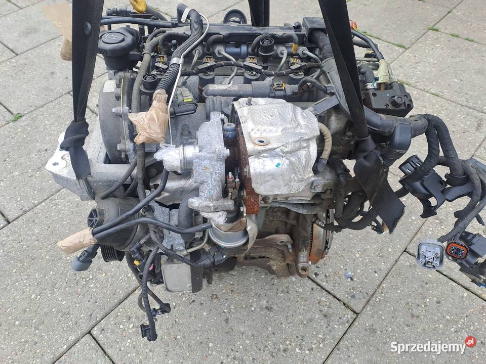 Fiat Doblo Qubo Fiorino Opel Astra Chevrolet 13