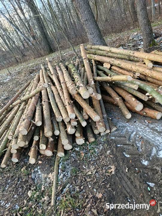 Stemple budowlane drewniane