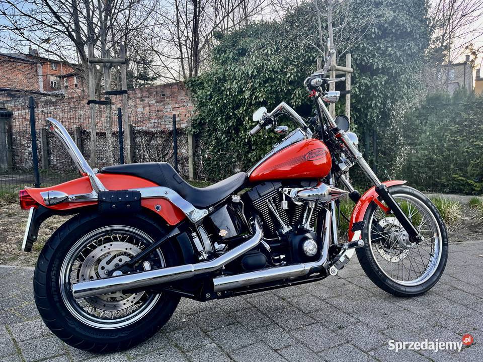 HarleyDavidson Softail Standard 2004 jedyny taki Wejherowo