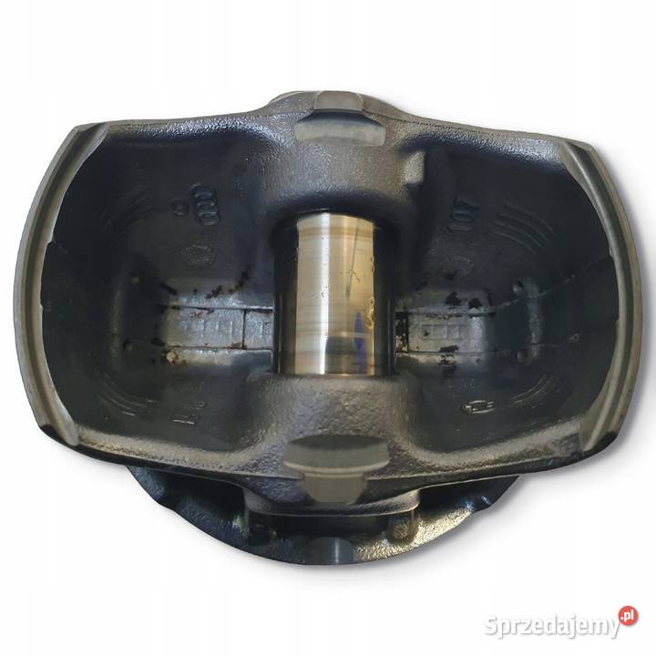 TŁOK Porsche Cayenne 9Y Coupe 9YA 30 V6 EHybrid Chełm