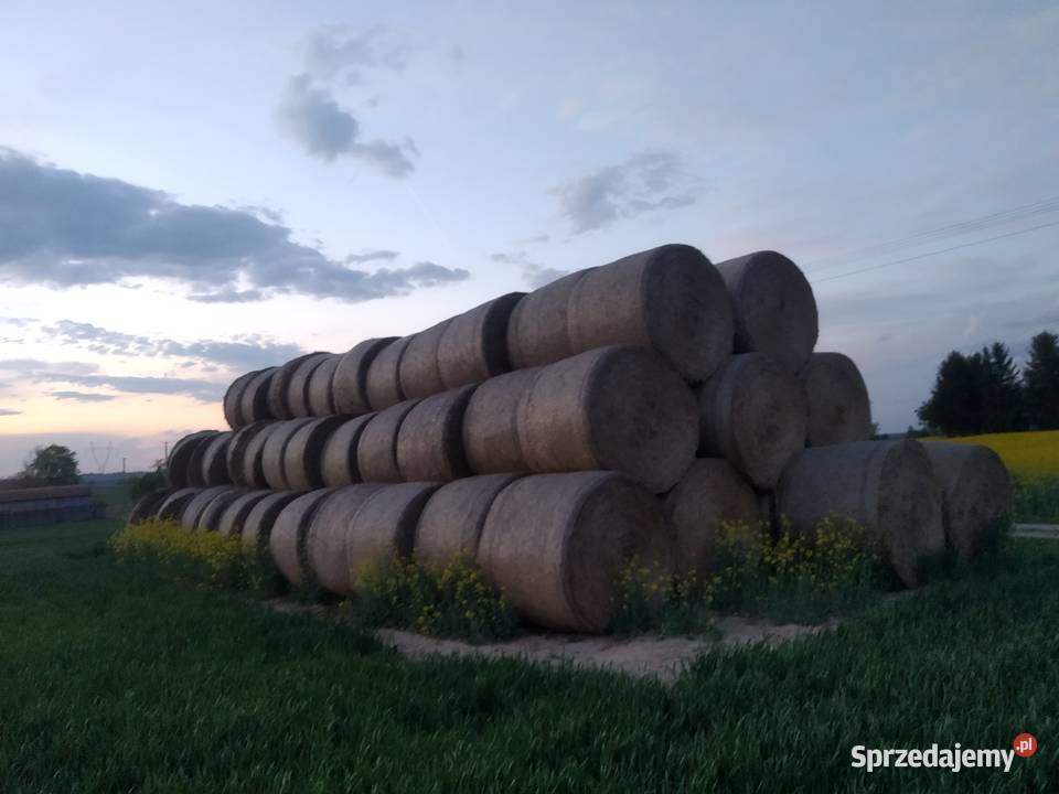 sprzedam słomę pszenną Tomaszowice