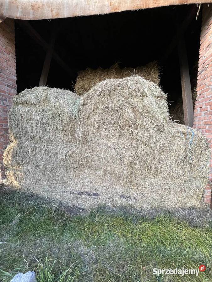 Siano Doruchów