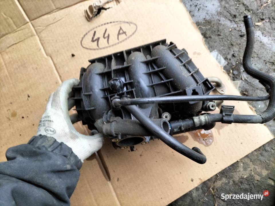 OPEL AGILA A CORSA C 10 KOLEKTOR SSĄCY LISTWA Kamień-Kolonia