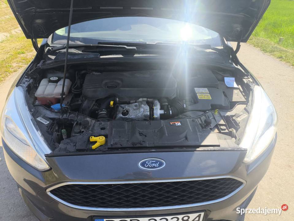 Ford Focus Salon polska drugi właściciel autoalarm podkarpackie Czudec