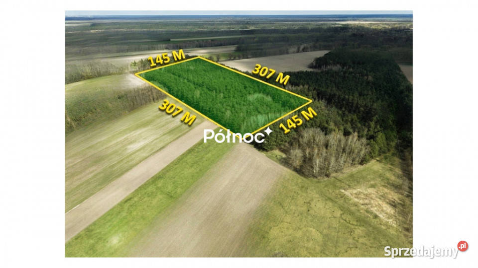 Działka leśna 447 Ha w Elżbiecinie gmina Kodeń 145m Sprzedaż