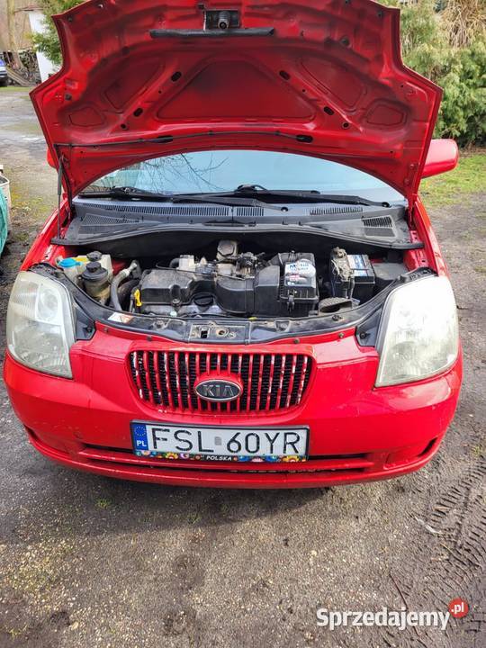 Z klimąŁadna sprawna zarejestrowana Kia Picanto 1086cm3 Gorzów Wielkopolski
