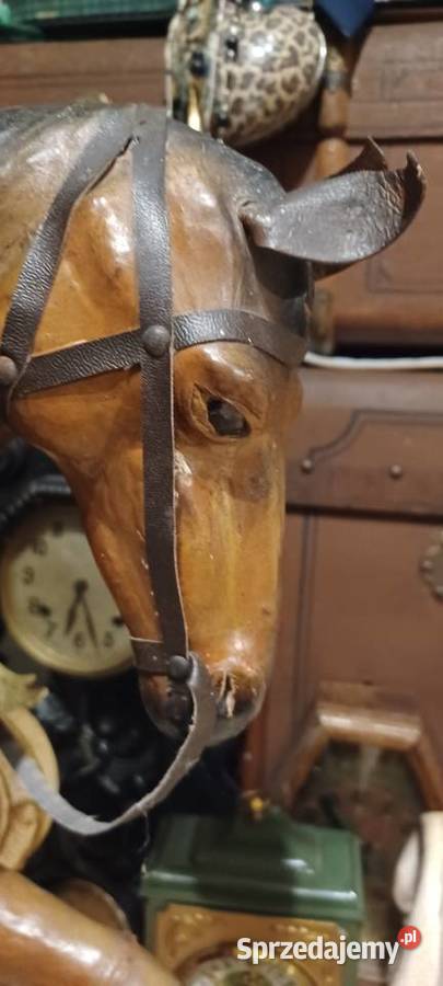 W POZNANIU KUP SKORZANEGO PRLOWSKIEGO KONIA brązowy wielkopolskie Środa Wielkopolska sprzedam