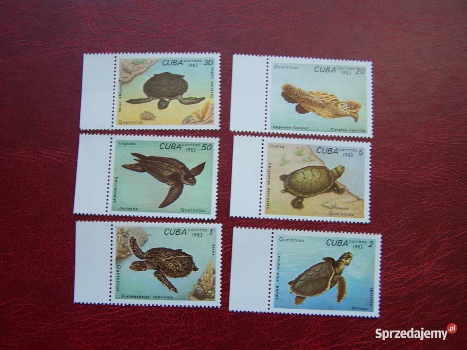 Kuba 1983 MNH Mi 276671 Fauna Żółwie Tychy sprzedam