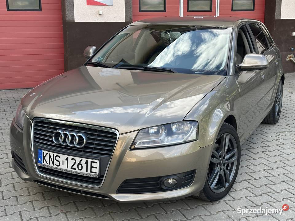 Audi a3 2009 19 tdi 105 lift Hatchback Grybów
