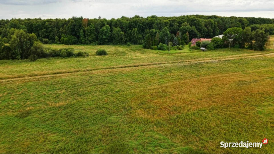 Działka budowlana 1560 m MPZP Sycewice k Słupska 73zł/m2