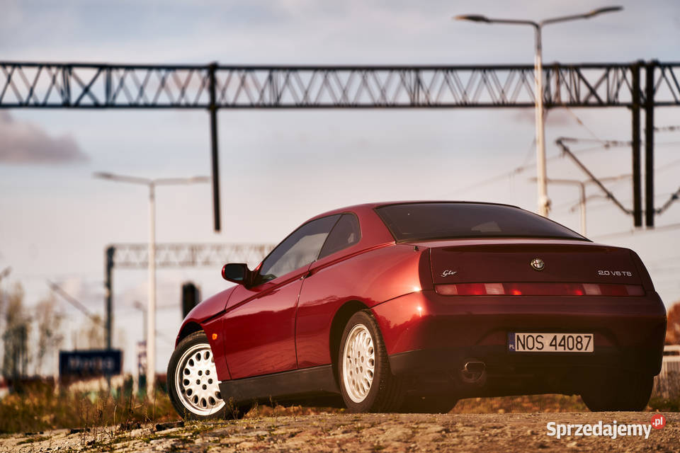 Alfa Romeo GTV 20 V6 Turbo Słonecznik