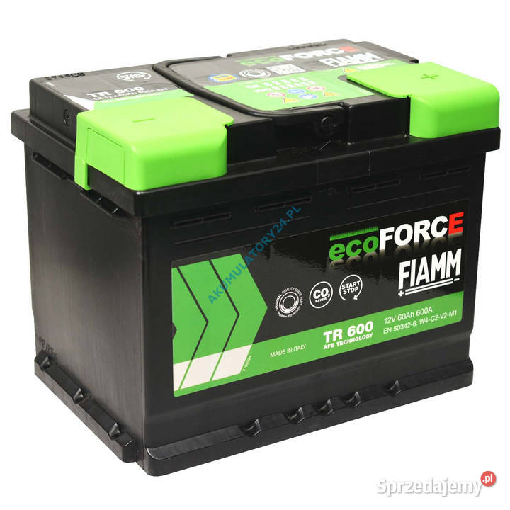 Akumulator 60AH Fiamm ECOFORCE AFB