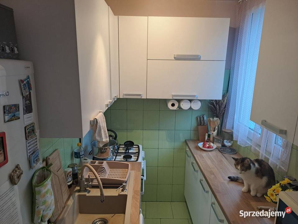 ładna kawalerka remoncie na Dąbrowie Łódź